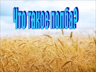 Что такое полба?