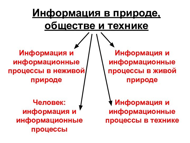 Информация в природе, обществе и техникеИнформация и информационные процессы в неживой природеИнформация