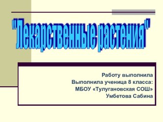 Фитопрепараты в современной медецине