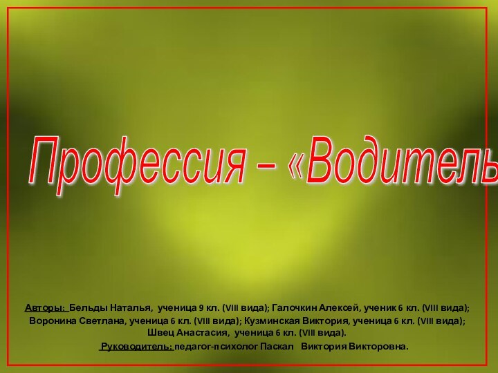 Профессия – «Водитель» Авторы: Бельды Наталья, ученица 9 кл. (VIII вида); Галочкин