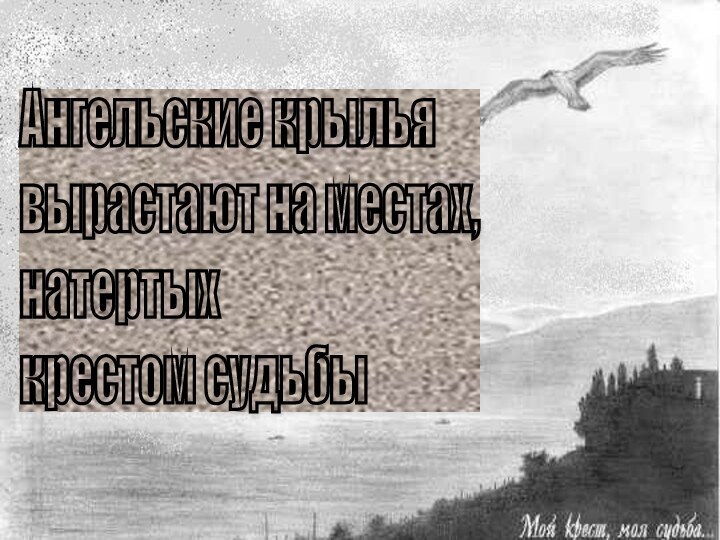 Ангельские крылья  вырастают на местах,  натертых  крестом судьбы