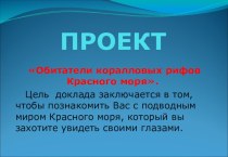 Обитатели коралловых рифов Красного моря