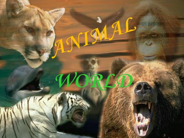 ANIMALWORLD