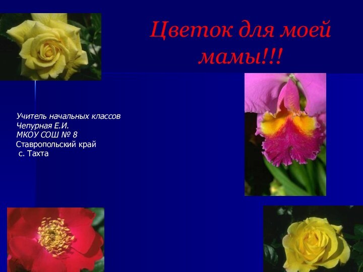 Цветок для моей мамы!!!    Учитель начальных классовЧепурная Е.И.МКОУ СОШ