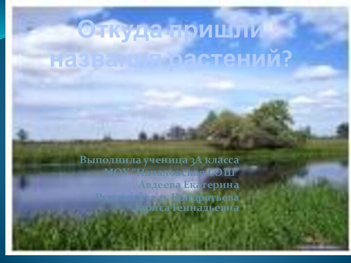 Откуда пришли названия растений?Выполнила ученица 3А классаМОУ “Началовская СОШ”Авдеева ЕкатеринаРуководитель Кондратьева Лариса Геннадьевна