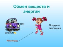 Обмен веществ и энергии 6 класс