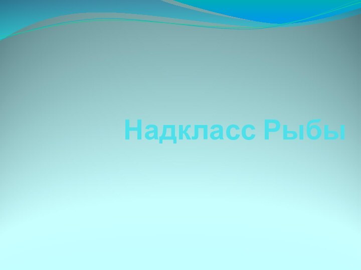 Надкласс Рыбы