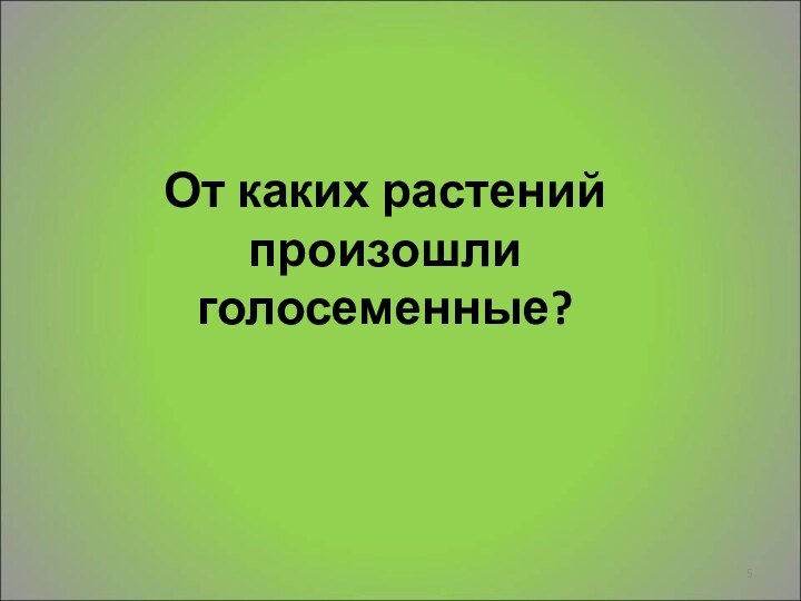 От каких растений произошли голосеменные?