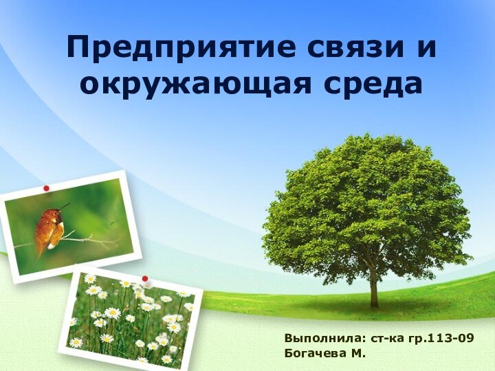 Предприятие связи и окружающая средаВыполнила: ст-ка гр.113-09Богачева М.