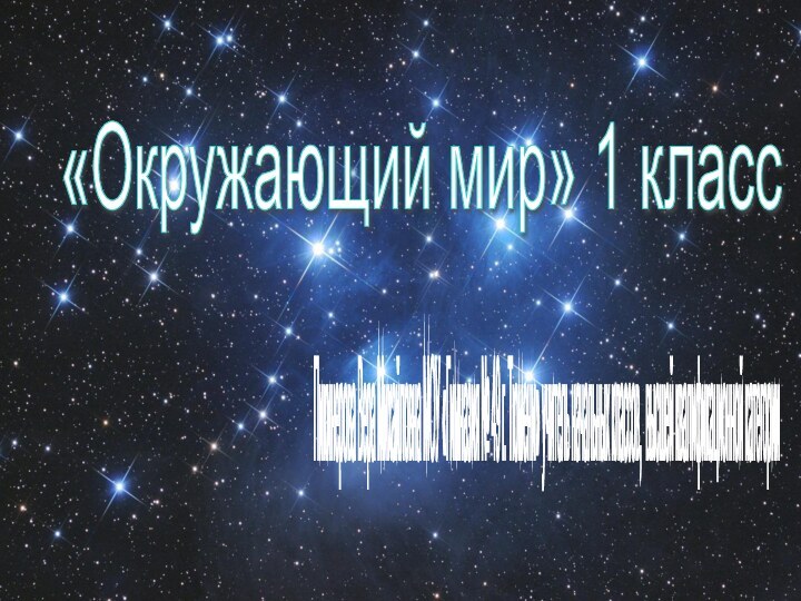 «Окружающий мир» 1 класс Пикинерова Вера Михайловна МОУ «Гимназия № 49 г.