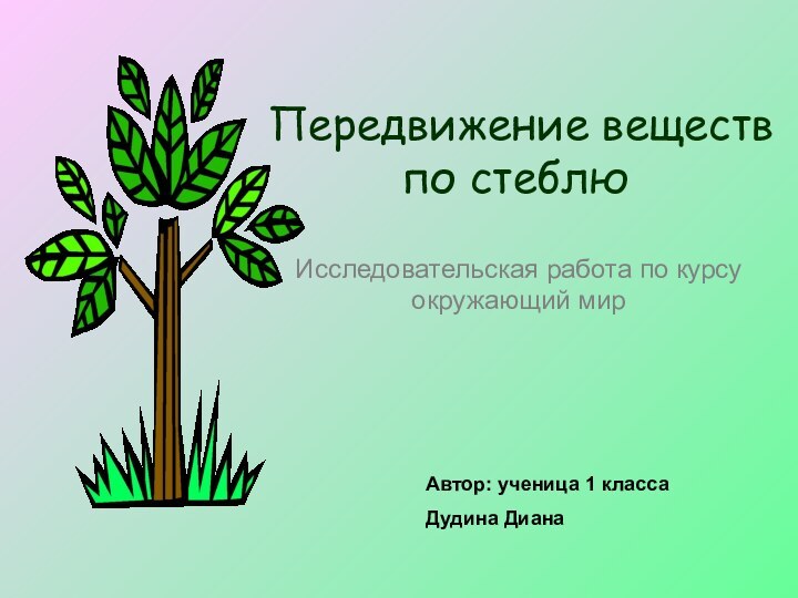 Передвижение веществ  по стеблю Исследовательская работа по курсу окружающий мирАвтор: