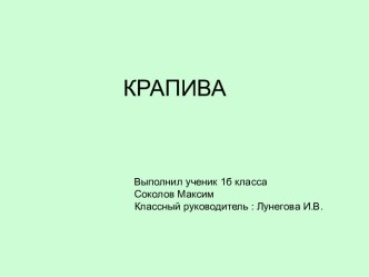 Крапива 1 класс