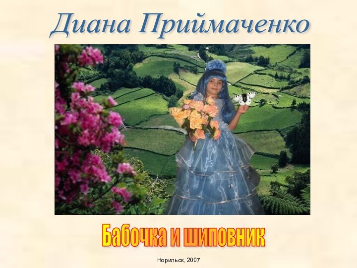 Диана ПриймаченкоБабочка и шиповникНорильск, 2007