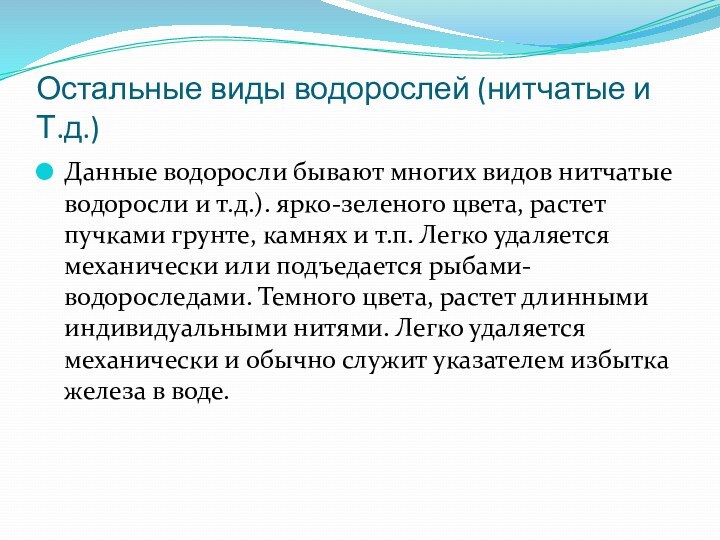 Остальные виды водорослей (нитчатые и Т.д.)Данные водоросли бывают многих видов нитчатые водоросли