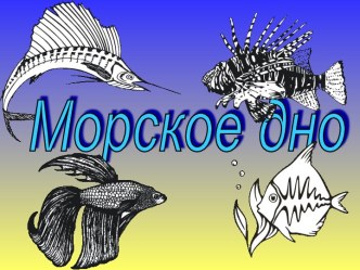 Морское дно