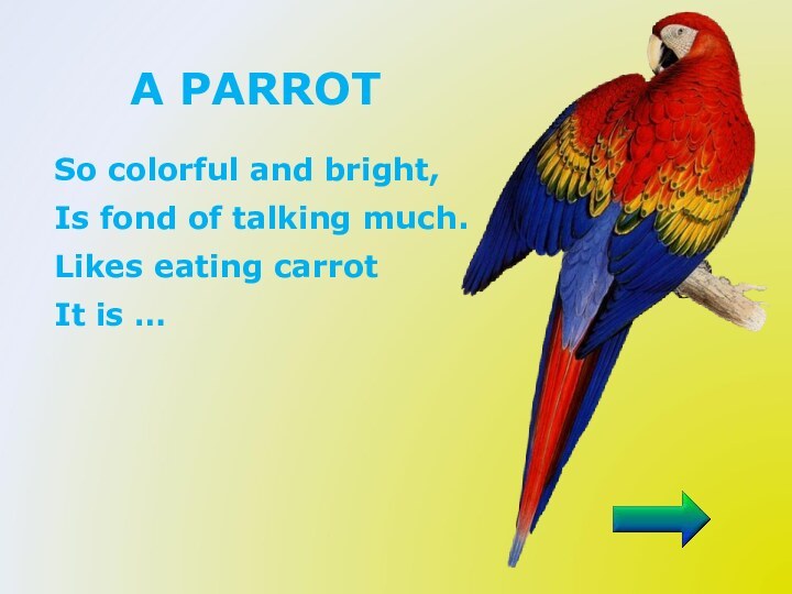 A PARROT  So colorful and bright, Is fond of talking