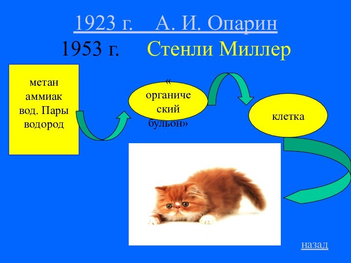 1923 г.  А. И. Опарин 1953 г.   Стенли Миллерметанаммиаквод. Парыводородклетканазад« органический бульон»