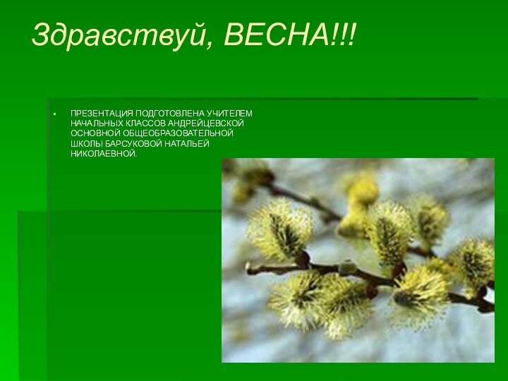 Здравствуй, ВЕСНА!!!ПРЕЗЕНТАЦИЯ ПОДГОТОВЛЕНА УЧИТЕЛЕМ НАЧАЛЬНЫХ КЛАССОВ АНДРЕЙЦЕВСКОЙ ОСНОВНОЙ ОБЩЕОБРАЗОВАТЕЛЬНОЙ ШКОЛЫ БАРСУКОВОЙ НАТАЛЬЕЙ НИКОЛАЕВНОЙ.