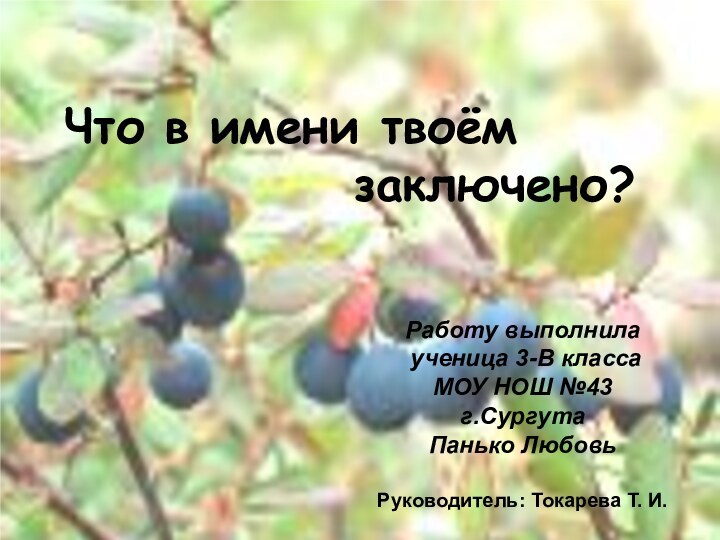 Цель исследования:Работу выполнила ученица 3-В классаМОУ НОШ №43 г.СургутаПанько ЛюбовьРуководитель: Токарева Т.