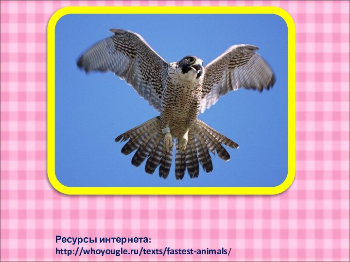 Ресурсы интернета: http://whoyougle.ru/texts/fastest-animals/