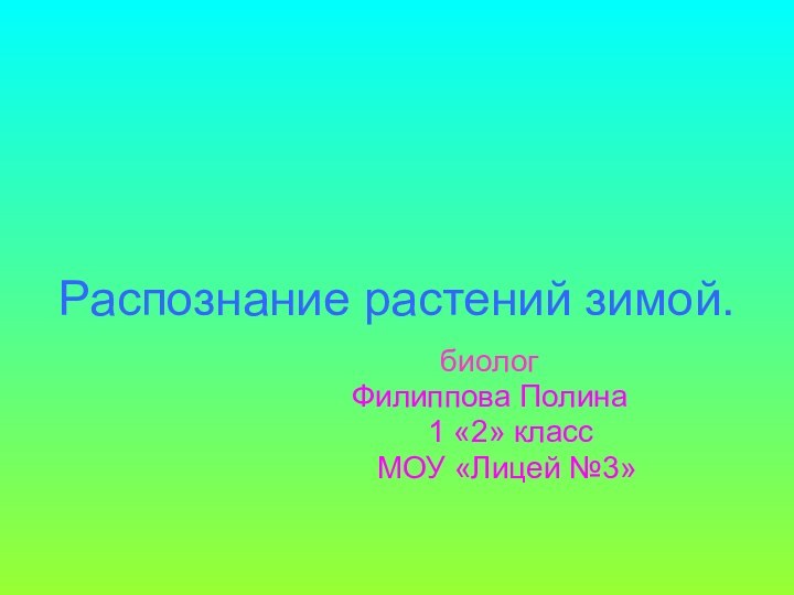 Распознание растений зимой.биологФилиппова Полина   1 «2» класс  МОУ «Лицей №3»