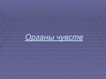 Органы чувств