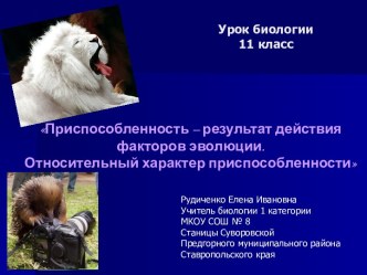 Приспособленность – результат действия факторов эволюции. Относительный характер приспособленности