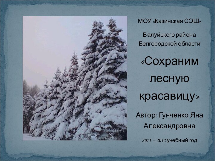 МОУ «Казинская СОШ»Валуйского района Белгородской области«Сохраним лесную красавицу»Автор: Гунченко Яна Александровна2011 – 2012 учебный год