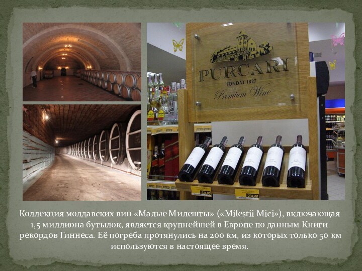 Коллекция молдавских вин «Малые Милешты» («Mileştii Mici»), включающая 1,5 миллиона бутылок, является