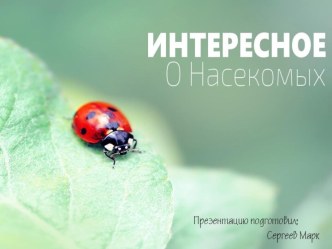 Интересное о Насекомых