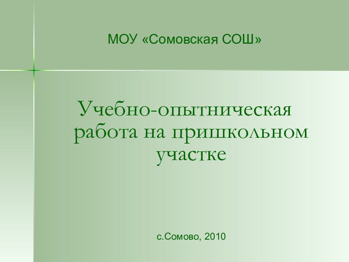 МОУ «Сомовская СОШ»Учебно-опытническая работа на пришкольном участке с.Сомово, 2010