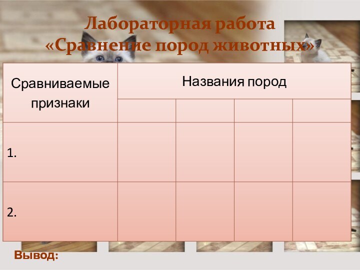 Лабораторная работа «Сравнение пород животных»Вывод: