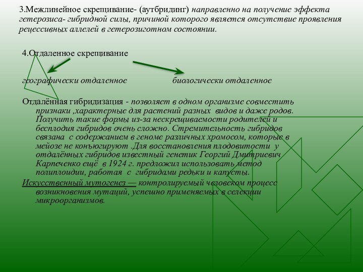 3.Межлинейное скрещивание- (аутбридинг) направленно на получение эффекта гетерозиса- гибридной силы, причиной которого