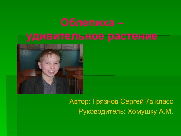 Облепиха –  удивительное растениеАвтор: Грязнов Сергей 7в классРуководитель: Хомушку А.М.