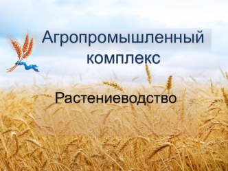 Агропромышленный комплекс. Растениеводство