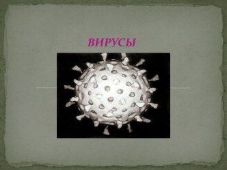 Заболевания вирусы