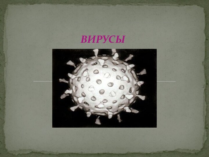 ВИРУСЫ