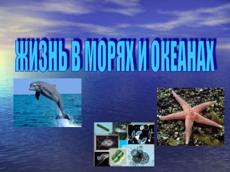 Жизнь в морях и океанах