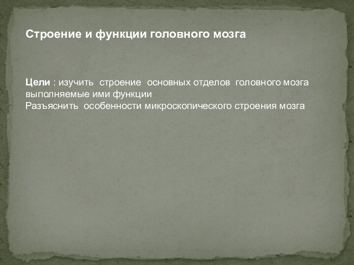 Строение и функции головного мозгаЦели : изучить строение основных отделов головного мозгавыполняемые