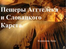 Пещеры Аггтелека и Словацкого Карста
