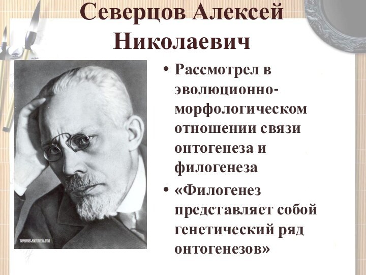 Северцов Алексей Николаевич Рассмотрел в эволюционно-морфологическом отношении связи онтогенеза и филогенеза«Филогенез представляет собой генетический ряд онтогенезов»