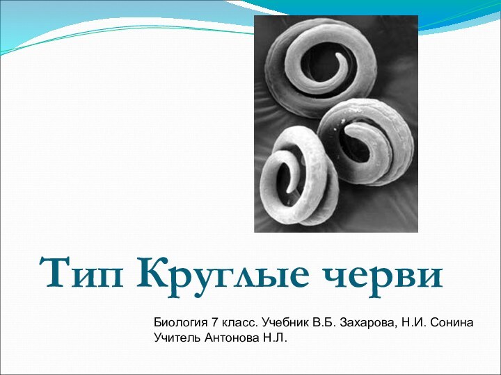 Тип Круглые червиБиология 7 класс. Учебник В.Б. Захарова, Н.И. СонинаУчитель Антонова Н.Л.