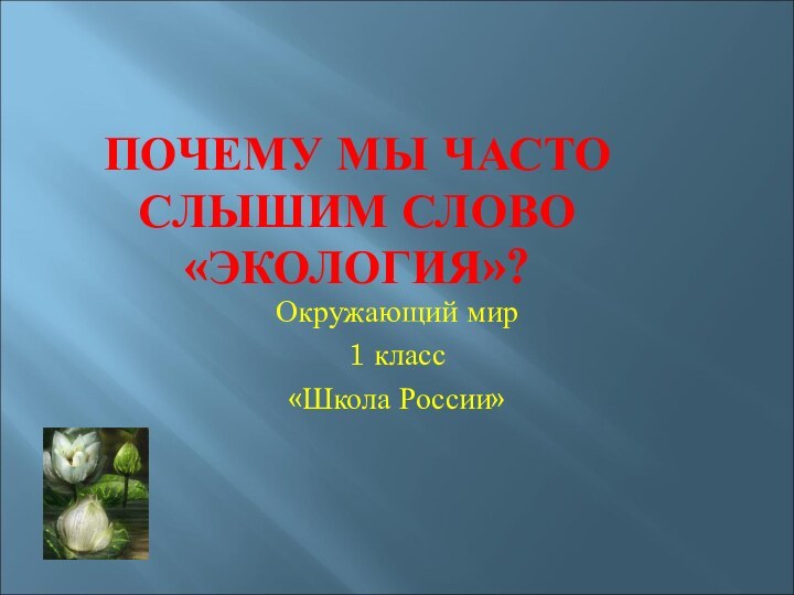 ПОЧЕМУ МЫ ЧАСТО СЛЫШИМ СЛОВО «ЭКОЛОГИЯ»?Окружающий мир1 класс«Школа России»