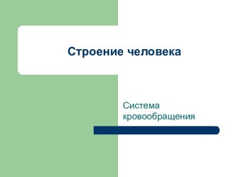 Строение человека. Система кровообращения