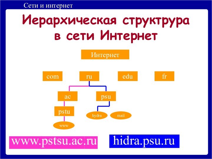 www.pstsu.ac.ruИерархическая структрура в сети ИнтернетИнтернетcomruedufracpsupstuwwwhydramailhidra.psu.ru