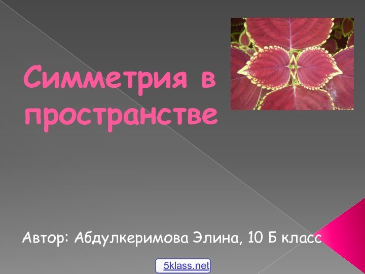 Симметрия в пространствеАвтор: Абдулкеримова Элина, 10 Б класс