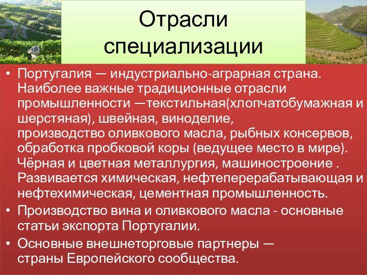 Отрасли специализацииПортугалия — индустриально-аграрная страна. Наиболее важные традиционные отрасли промышленности —текстильная(хлопчатобумажная и шерстяная), швейная, виноделие,