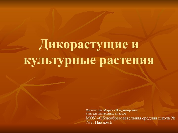 Дикорастущие и культурные растенияФилиппова Марина Владимировна учитель начальных классовМОУ «Общеобразовательная средняя школа № 7» г. Няндома