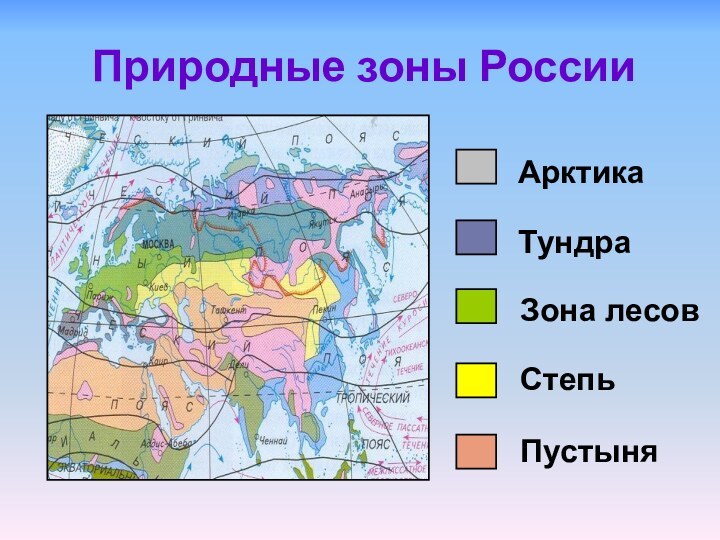 Природные зоны России