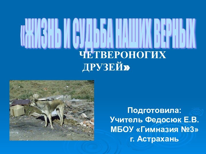 «ЖИЗНЬ И СУДЬБА НАШИХ ВЕРНЫХ  ЧЕТВЕРОНОГИХ ДРУЗЕЙ» Подготовила:Учитель Федосюк Е.В.МБОУ «Гимназия №3» г. Астрахань